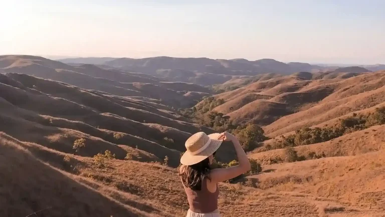 Sumba Helicopter vs. Overland Safari Tour 2027: Which Experience Delivers More Adventure?