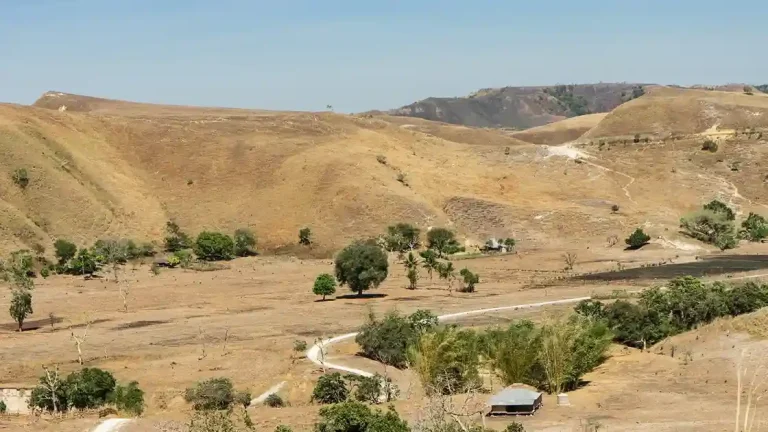 Sumba Helicopter Tour Eco-Tourism 2027: Sustainable Practices of Top Charter Operators
